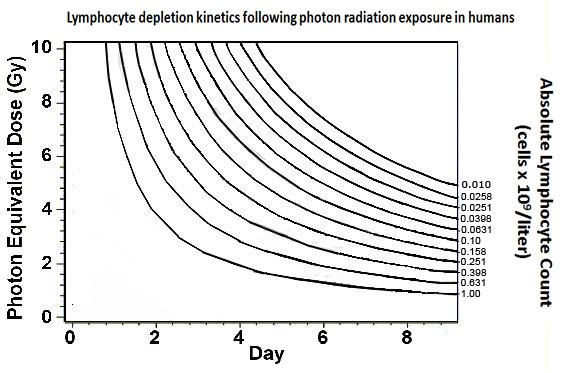 Contour of lymphocyte depletion kinetics following photon radiation exposure in humans