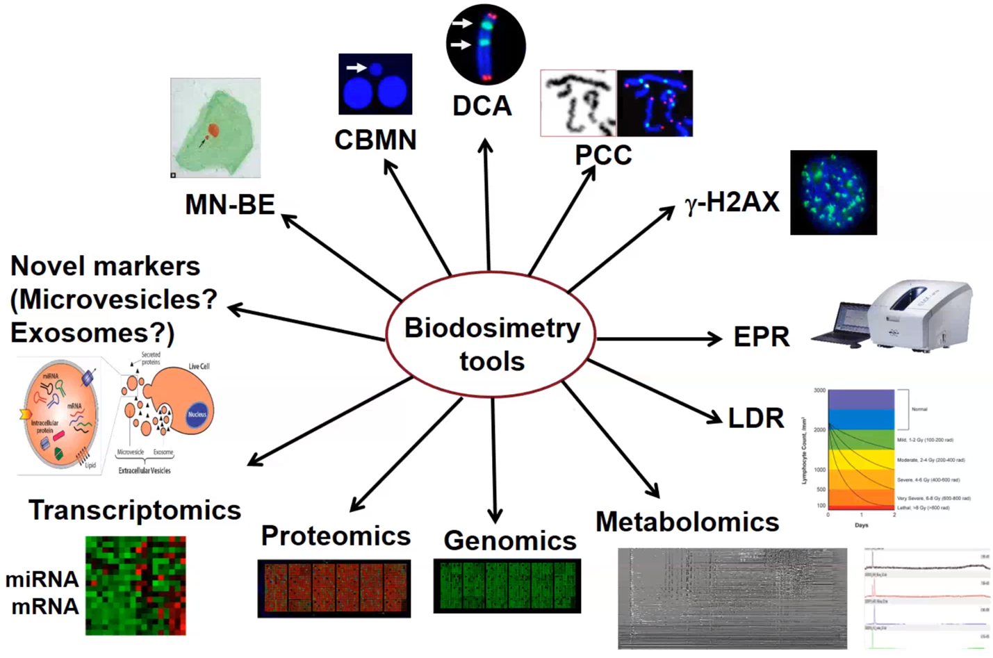 Biodosimetry techniques
