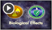 Biological effects of radiation