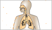 Internal contamination via respiratory tract
